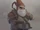 Gnome