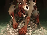 Xolotl