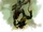 Arrow Demon