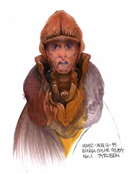 A disguised Shan up close