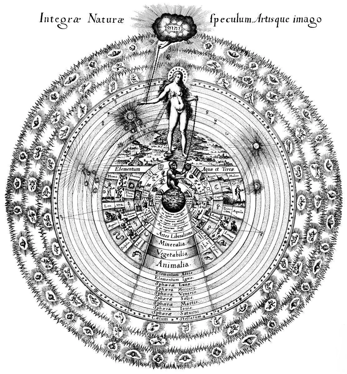 Anima Mundi The Demonic Paradise Wiki Fandom