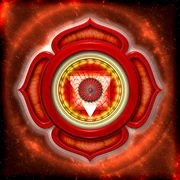 Survival Chakra