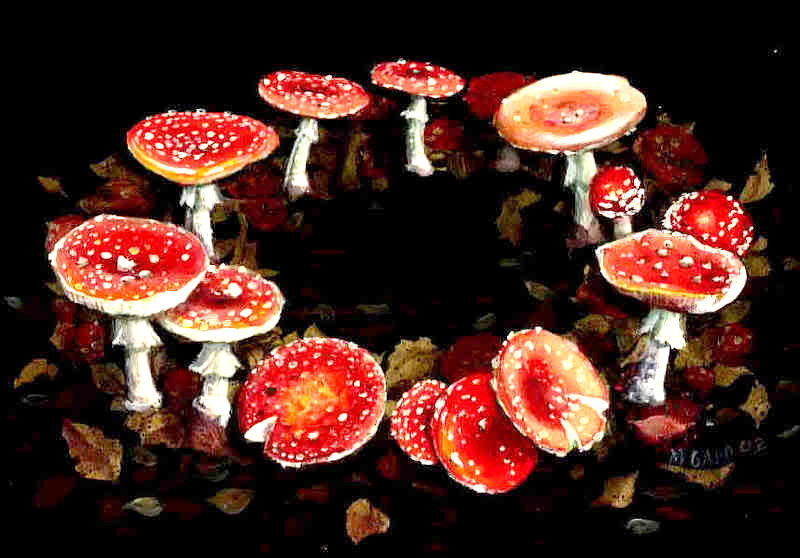 Fairy Tale Mushroom Ring