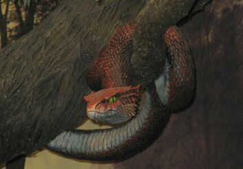 Serpent