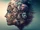 Collective Consciousness