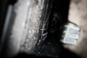 "There's something in the chimney..." (Art by Eduardo Valdés-Hevia)