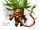 Mandrake