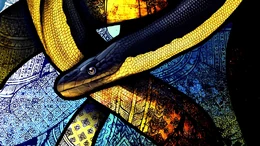 Wallpaper-art-winding-snake-patterns-