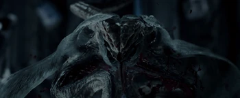 Allen in a juvenile form