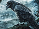 Raven