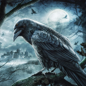evil raven bird