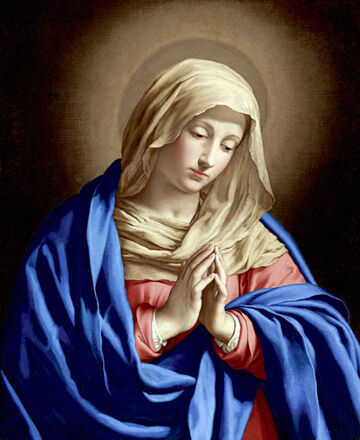 Virgin Mary | The Demonic Paradise Wiki | Fandom