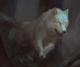 HD-wallpaper-wolf-art-fantasy-luminos-lup-white-marta-nael-night-running