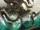 Scylla
