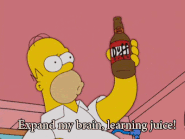 Homer Simpson from The Simpsons