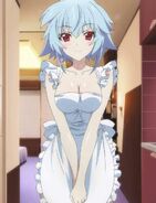 Tatenashi Sarashiki from Infinite Stratos
