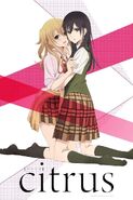 Yuzu Aihara and Mei Aihara from Citrus