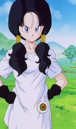 Videl from Dragon Ball Z