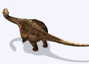 Saltasaurus