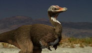 Alvarezsaurus looking