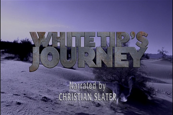 White Tip's Journey