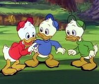 Donald's nephews(2)