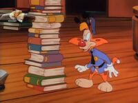 Bonkers looking at book stack