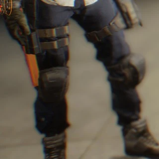 Appearances Pants The Division Appearance Wikia Fandom