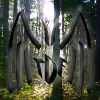 The Server The Dragon Forest Discord Server Wiki Fandom