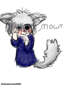 Image-1.png