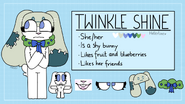 Twinkle Shine Reference Sheet 2022.