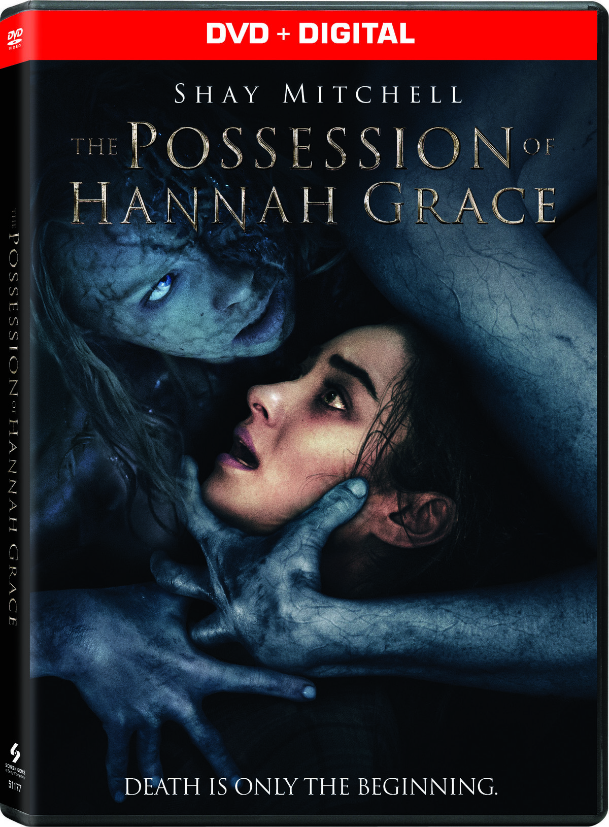 The Possession - A Possuída, DVD em Análise