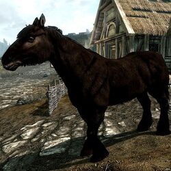 Skyrim - Como encontrar o seu cavalo - Critical Hits
