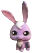 828 Rabbit