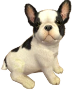 Baxter