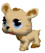 1554 Bear