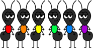 The Ant Clan