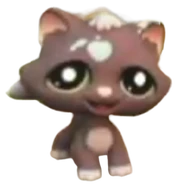 815 Kitten