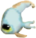 831 Angelfish