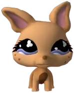 461 Littlest Chihuahua
