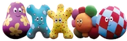 The Haahoos