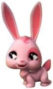 500 Littlest Rabbit
