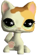 832 Sassiest Cat