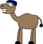 Conan the Swimming Camel