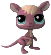 1524 Kangaroo