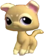1265 Cat