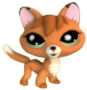 807 Happiest Fox