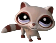 1348 Raccoon