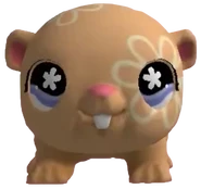 625 Cuddliest Hamster