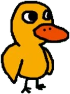 The Duck